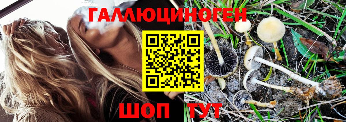 Галлюциногенные грибы Psilocybine cubensis  Вход с VPN  Галлюциногенные грибы Magic Shrooms  Большой Камень 
