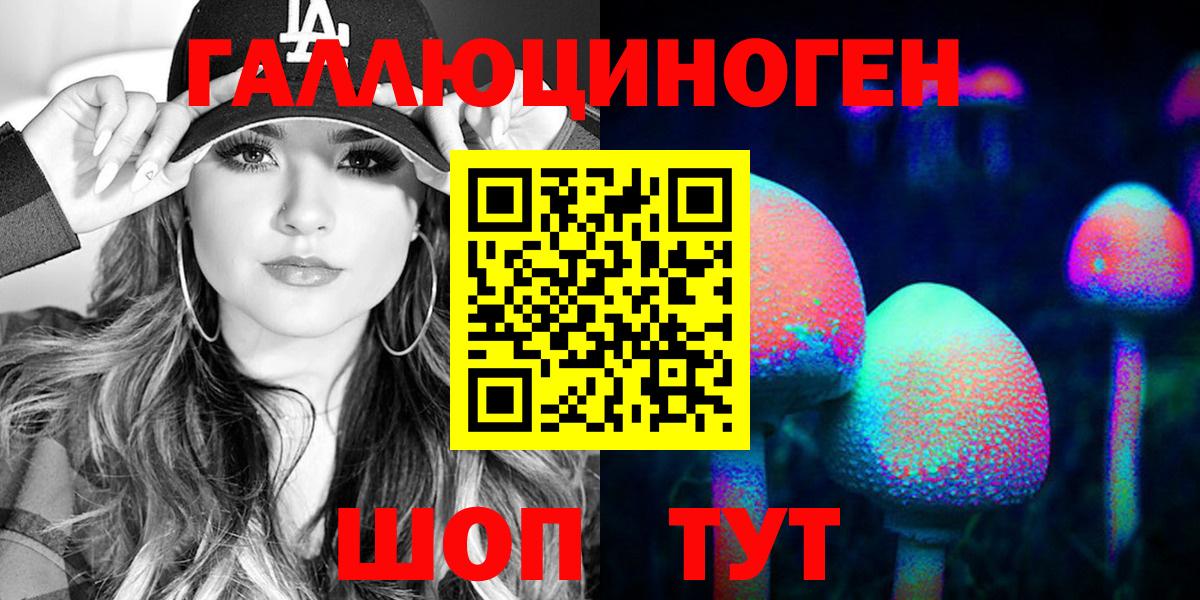 Псилоцибиновые грибы Psilocybe Большой Камень